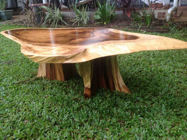 Raintree Coffee Table