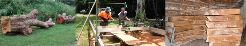 Becoz - Fine Hand Crafted Solid Timber Furniture, Created in Far North Queensland, Accacia, Cedar, Boardroom, Australian, Maple, Bathroom, Cabnet, Solid Timber Single Bed, Dundee's Mango Wine Rack, Black Bean, Mango Chairs, Mango Coffee Table, Hall Table, Raintree Coffee Table